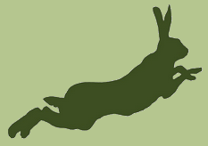 Exhibition Of Wildlife Art